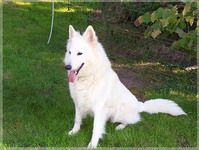 Bild 008
