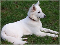 Bild 029