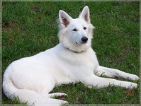 Bild 030