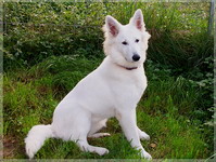 Bild 048