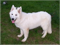 Bild 057