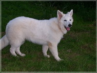 Bild 069