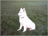 IMAGE0009
