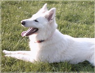 IMAGE0021a
