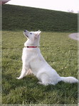 IMAGE020