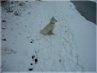 basko 10.02.06 010