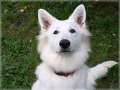 Bild 016