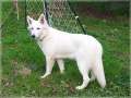 Bild 036