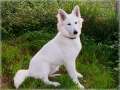Bild 048
