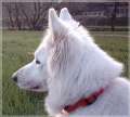 IMAGE0011a
