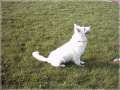 IMAGE0024